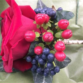 fwthumbRed rose & berries.jpg